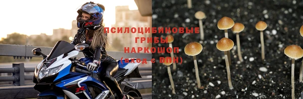 a pvp Каменногорск