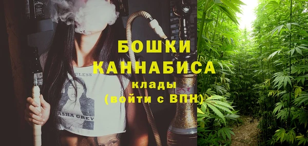 твердый Каменка