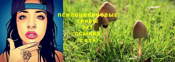 твердый Каменка