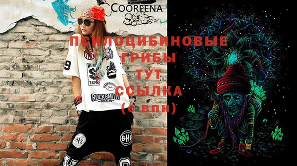 твердый Каменка