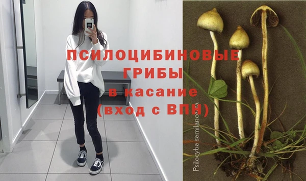 a pvp Каменногорск