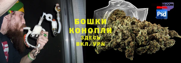 a pvp Каменногорск