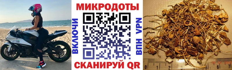 купить   Ессентуки  Псилоцибиновые грибы Magic Shrooms 